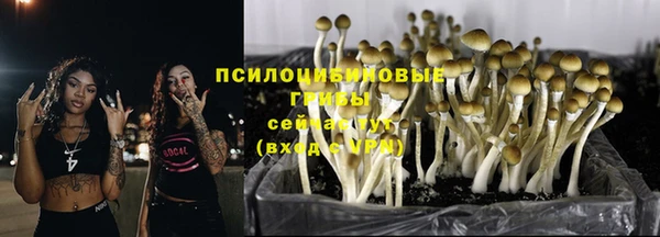 трава Алексин