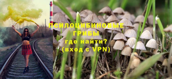 молекула духа Алексеевка