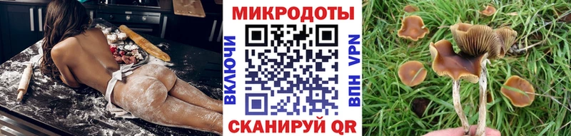darknet телеграм  где продают наркотики  Николаевск  Галлюциногенные грибы мухоморы  гидра вход 